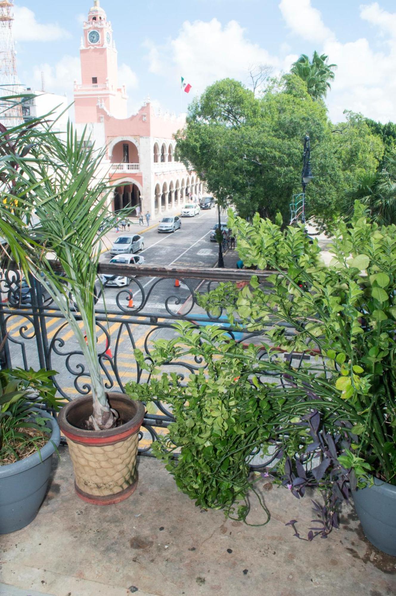 Отель Hostal Zocalo Мерида Экстерьер фото